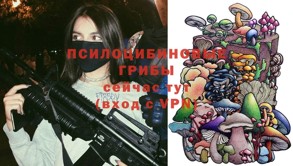соль ск Алзамай