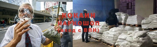 мяу мяу мука Абаза